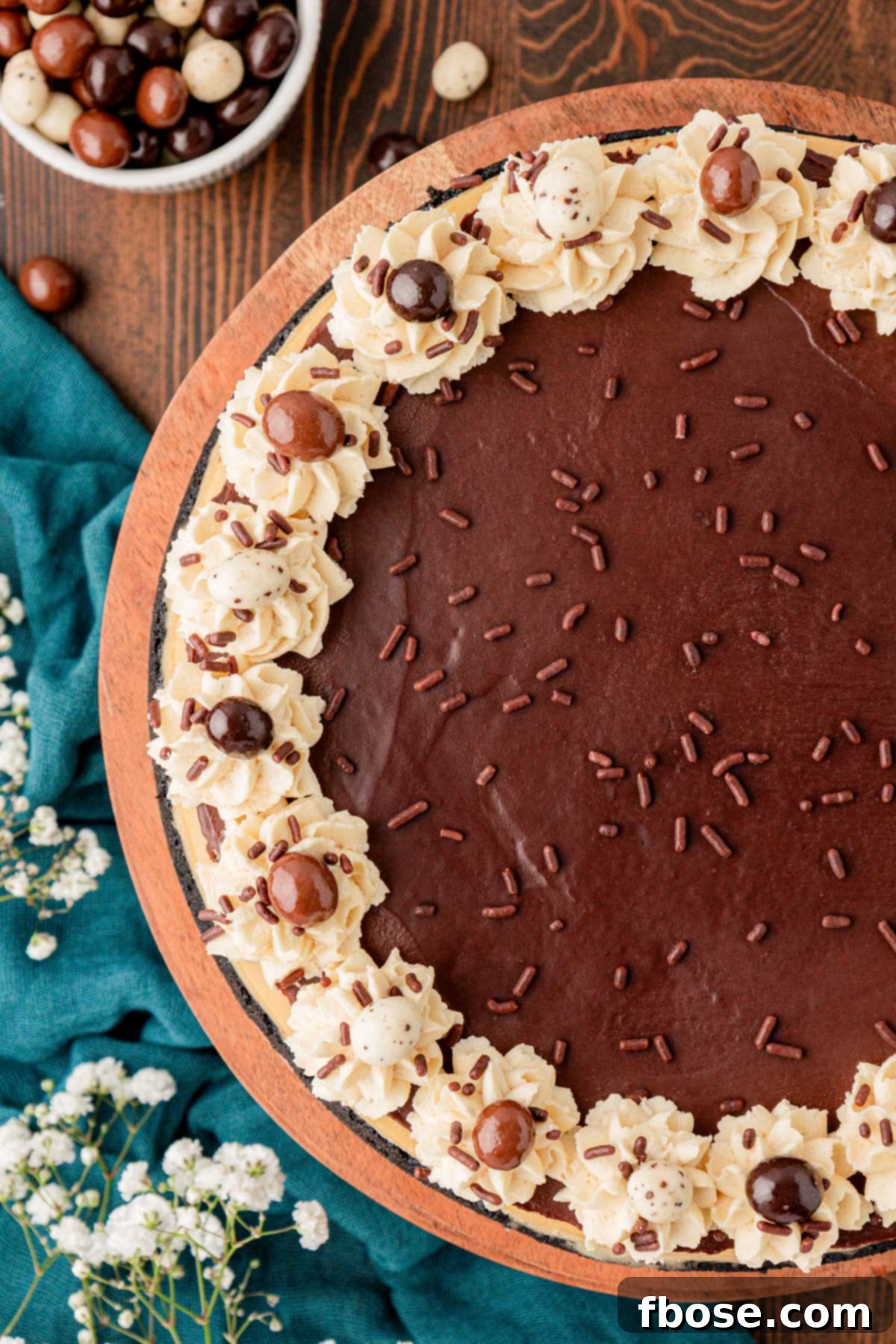 Gourmet Coffee Cheesecake 10 Overhead photo of coffee cheesecake.