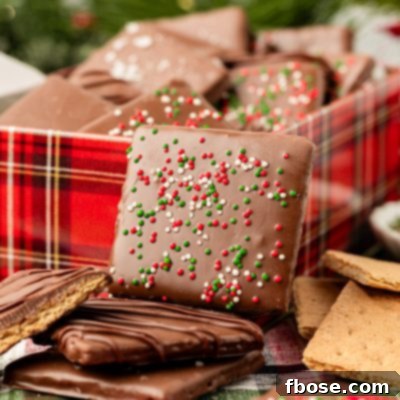 Chocolate covered graham crackers next to a cookie tin.