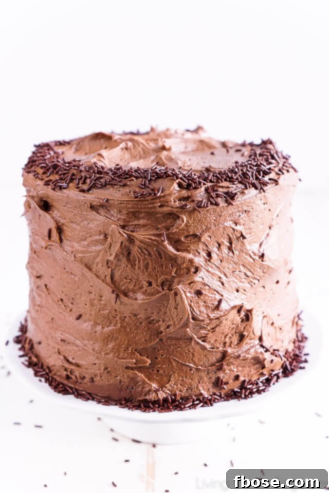 Close-up of a slice of Black Magic Chocolate Cake showcasing its moist layers and rich frosting.