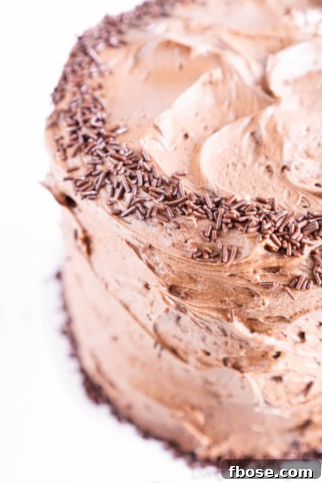 Black Magic Chocolate Cake adorned with sprinkles, ready for a special occasion.