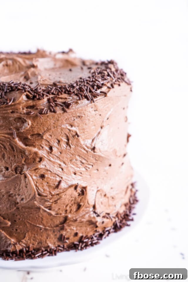 A vibrant close-up of the Black Magic Chocolate Cake with intricate frosting swirls.