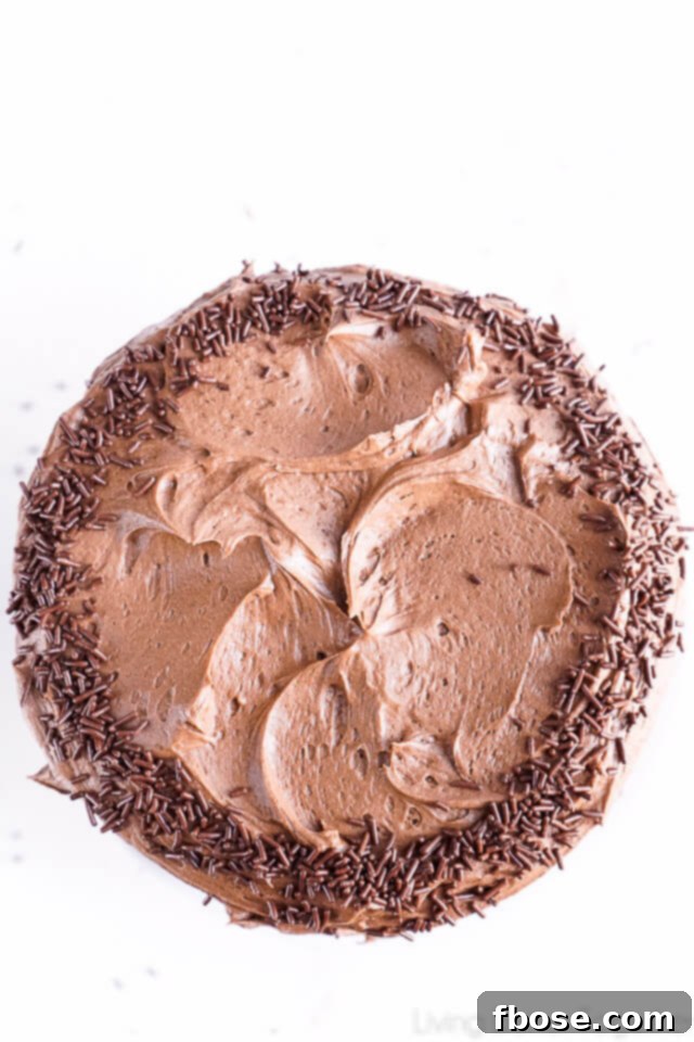 A beautifully presented slice of Black Magic Chocolate Cake on a white plate.