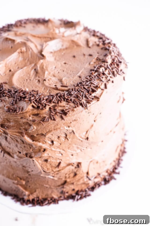 A close-up of the moist interior of the Black Magic Chocolate Cake.