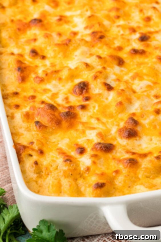 Close-up of baked mac and cheese with a golden, bubbly crust fresh from the oven.