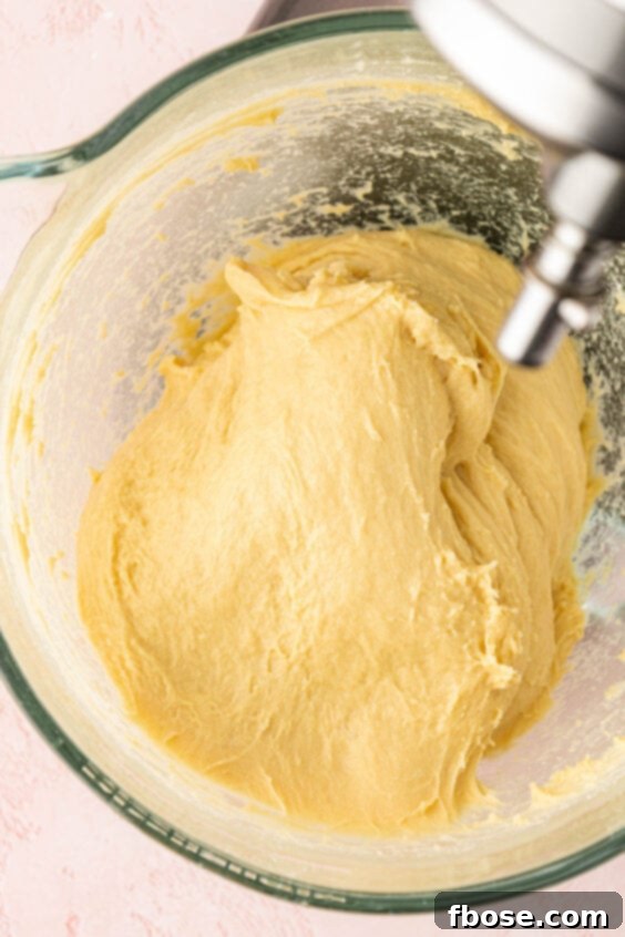 Dough in a mixing bowl resting.