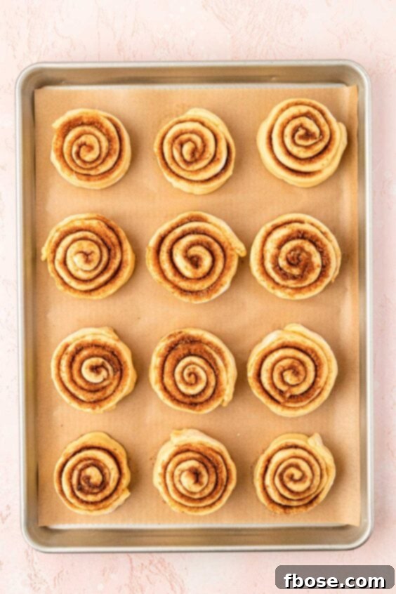 Overhead of a sheet pan of cinnamon rolls ready to rise.