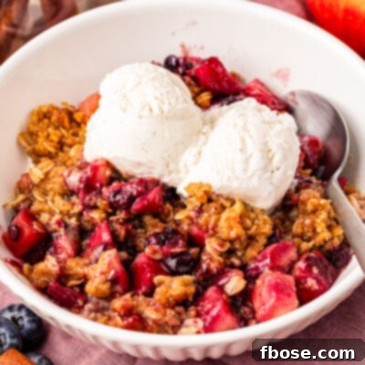 Warm Blueberry Apple Crisp 8 Close up of a blueberry apple crisp in a white bowl with vanilla ice cream.