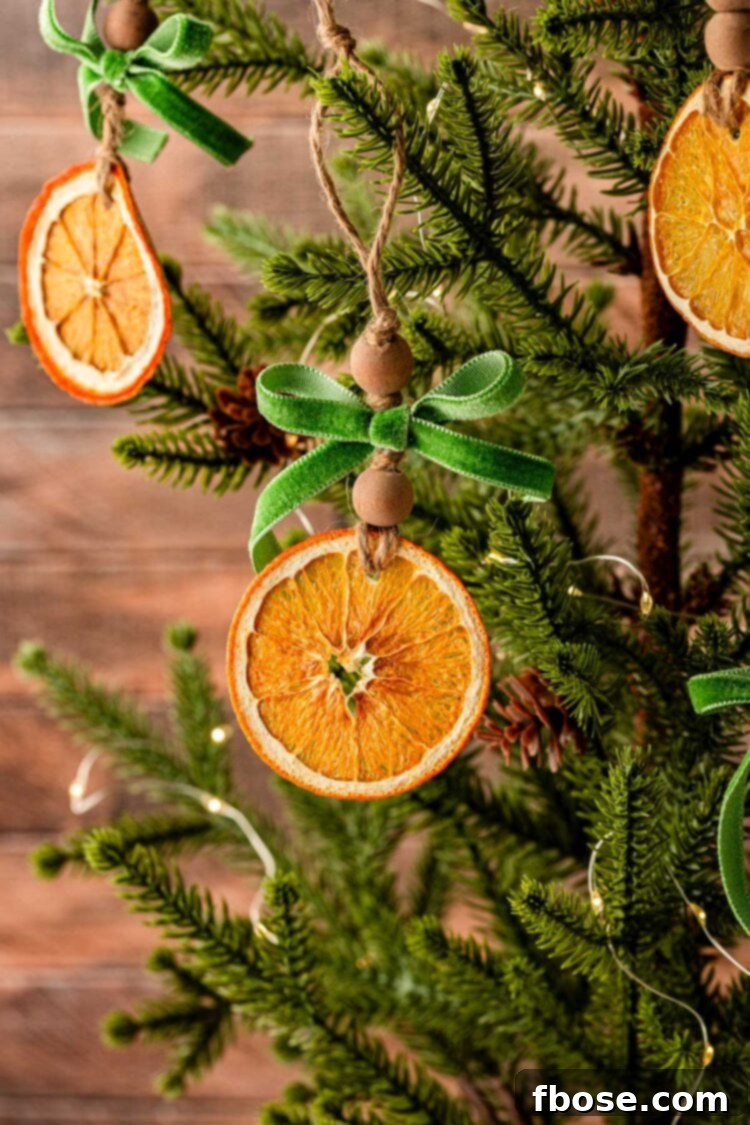Oven-Dried Orange Slices 7 Delicate dried orange ornaments gracefully hanging on a festive Christmas tree, catching the light.