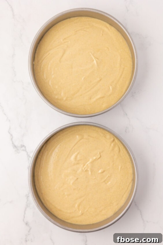 Vanilla cake batter in two round pans ready to bake.