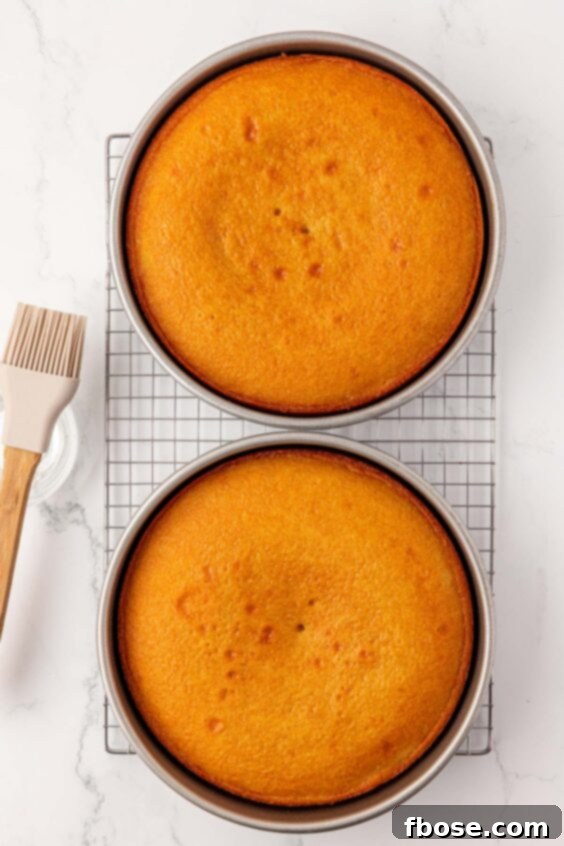 Two baked vanilla cakes in pans on a wire rack.