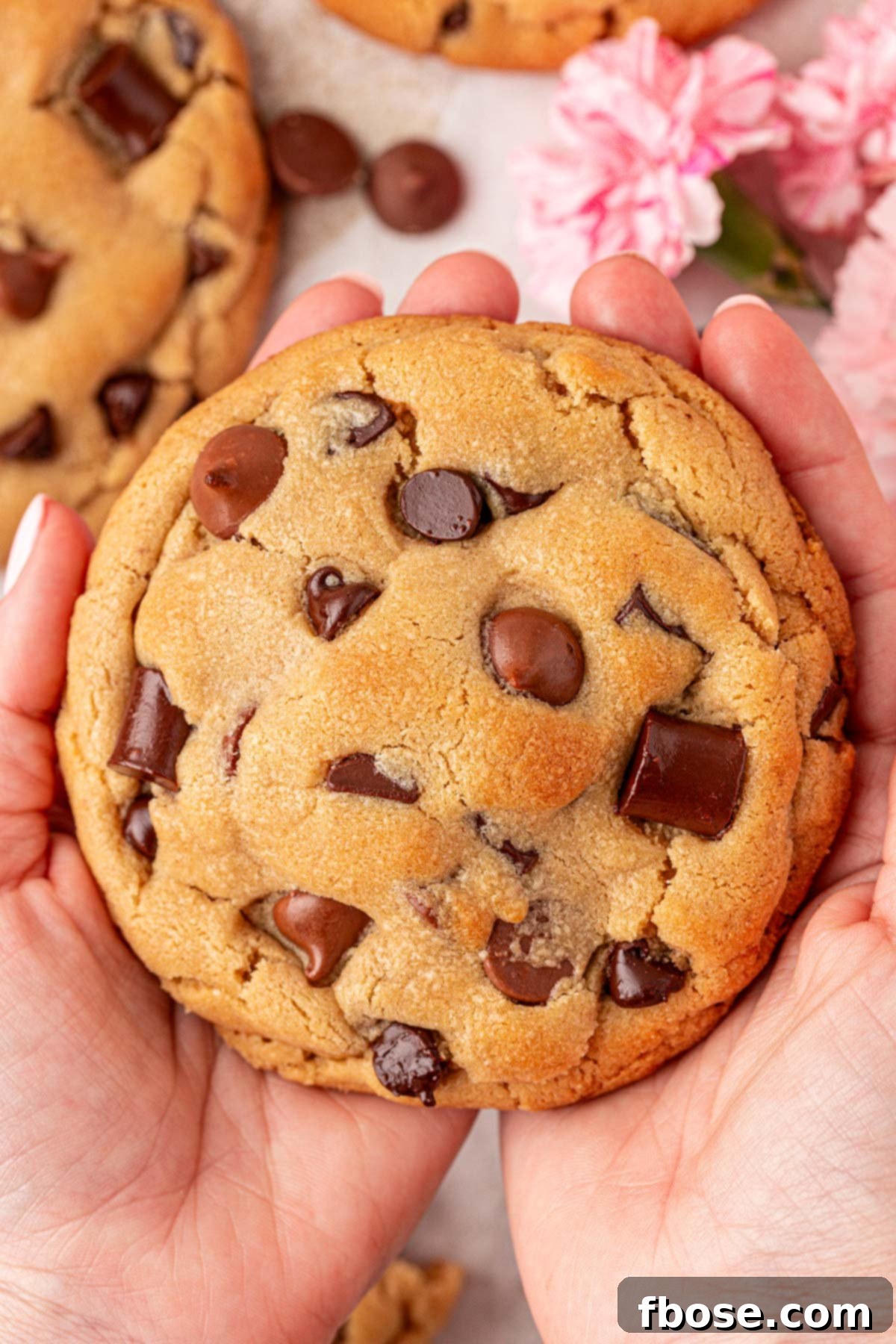 A woman's hand holding a copycat version of Nancy B's Bakery cookies, showing its size and inviting texture.